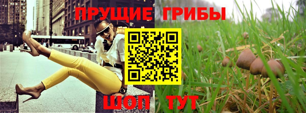 Псилоцибиновые грибы мицелий  Вход с VPN  Псилоцибиновые грибы Magic Shrooms  хочу наркоту  Рыбинск 